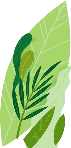 La Perla Foods